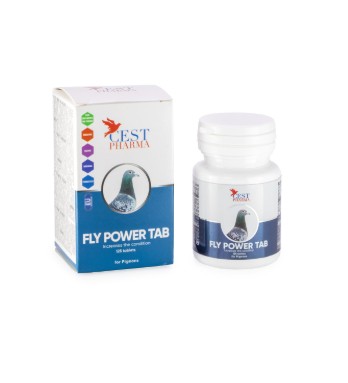 FLY POWER TAB 125 tablets