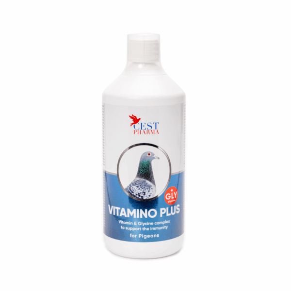 VITAMINO-PLUS
